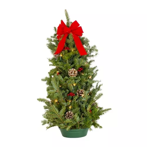 28″ Fresh Pre-Lit Tabletop Christmas Tree