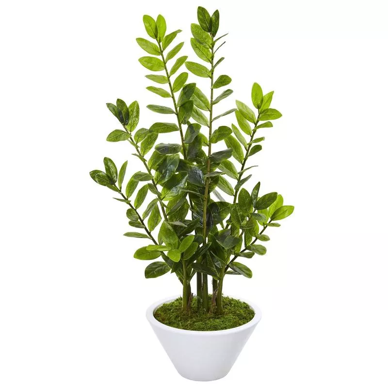 37-zamioculcas-artificial-plant-in-white-planter 37 Zamioculcas Artificial Plant in White Planter