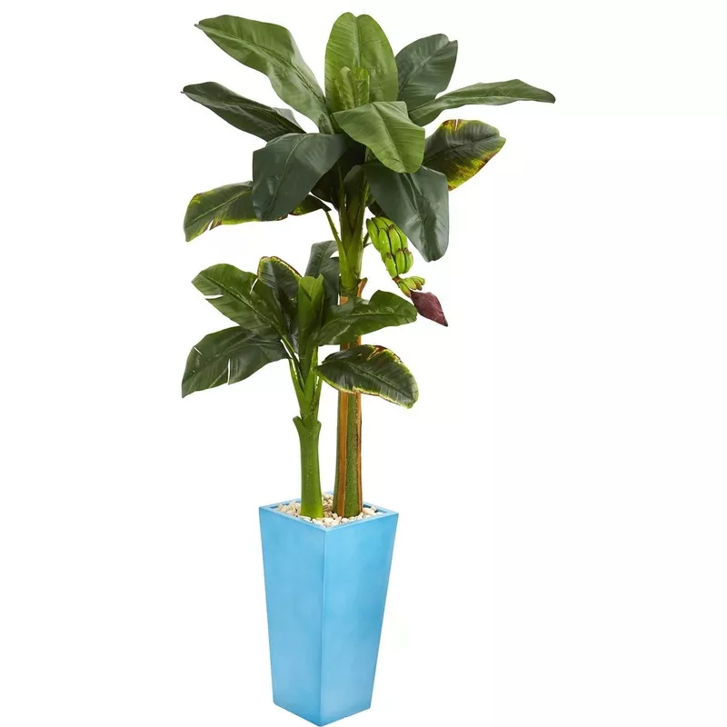 5.5 Banana Artificial Tree in Turquoise Tower Vase