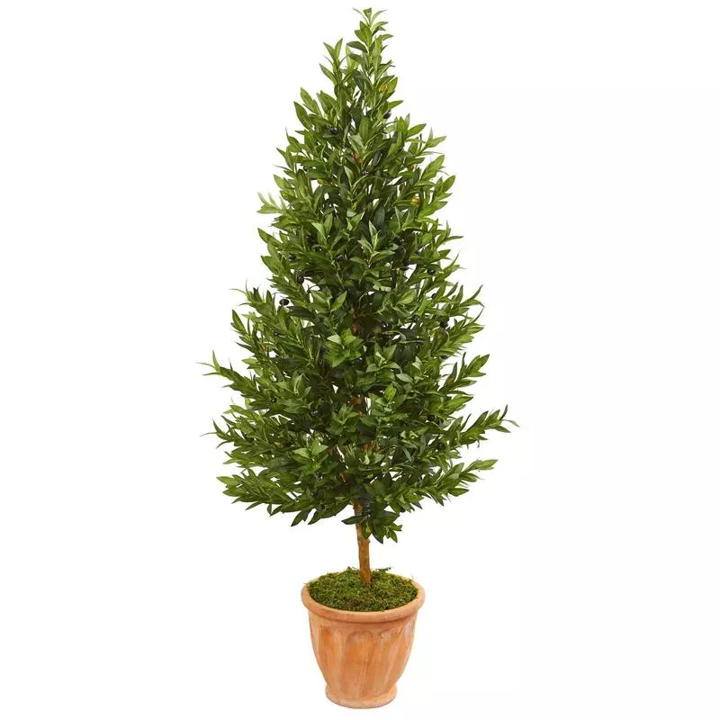 5 Olive Cone Topiary Artificial Tree in Terra Cotta Planter (Indoor/Outdoor)