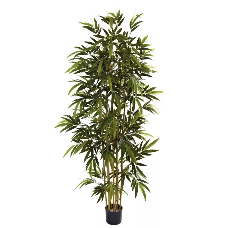 6-bamboo-tree 6′ Bamboo Tree