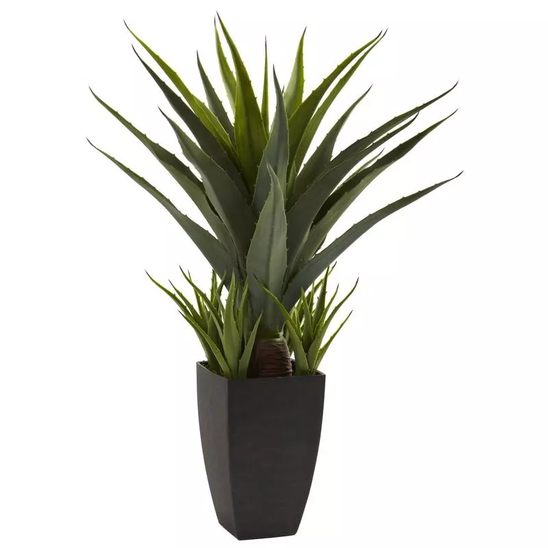 agave-w-black-planter Agave w/Black Planter