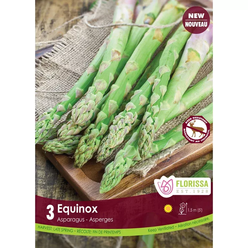 Asparagus – Equinox Bulbs 3 Pack
