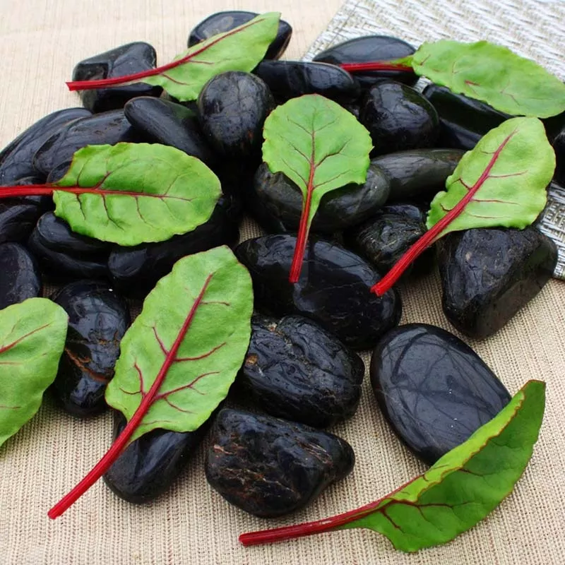 beet-greens-fresh-pak-seed Beet Greens Fresh Pak Seed