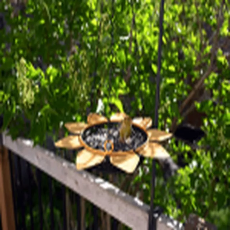 bird-feeder-sunflower-tray-feeder Bird Feeder – Sunflower Tray Feeder