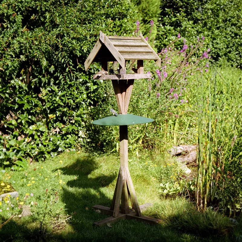 bird-table-squirrel-baffle Bird Table Squirrel Baffle