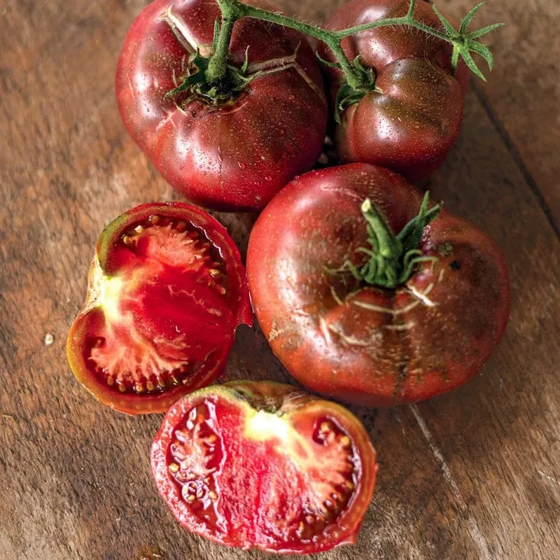 black-brandywine-tomato-90-days Black Brandywine Tomato (90 Days)