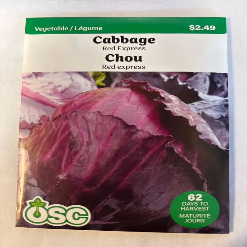 cabbage-seed-packets-red-express Cabbage Seed Packets – Red Express