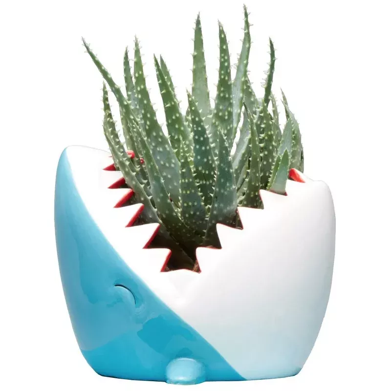 ceramic-shark-planter Ceramic Shark Planter