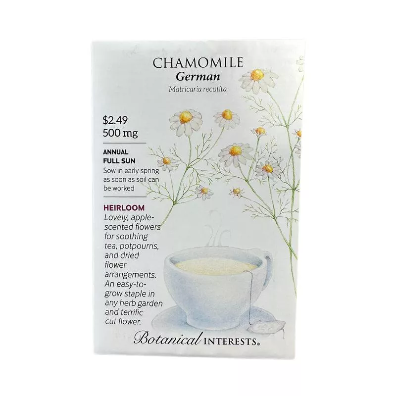 chamomile-german Chamomile German