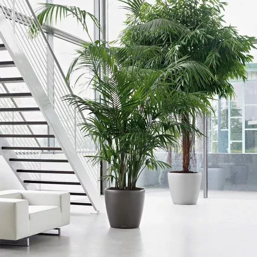 classico-round-planter Classico Round Planter