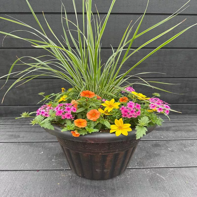 COMBO #4 – 12″ POT