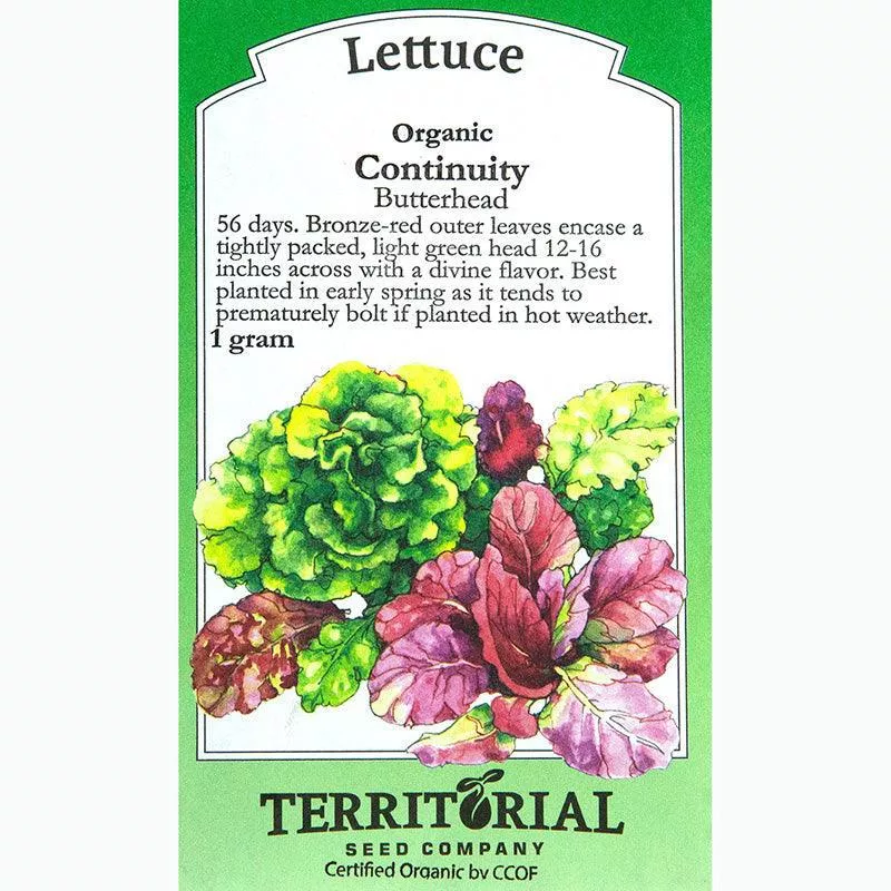 continuity-lettuce-seeds-organic Continuity Lettuce Seeds (Organic)