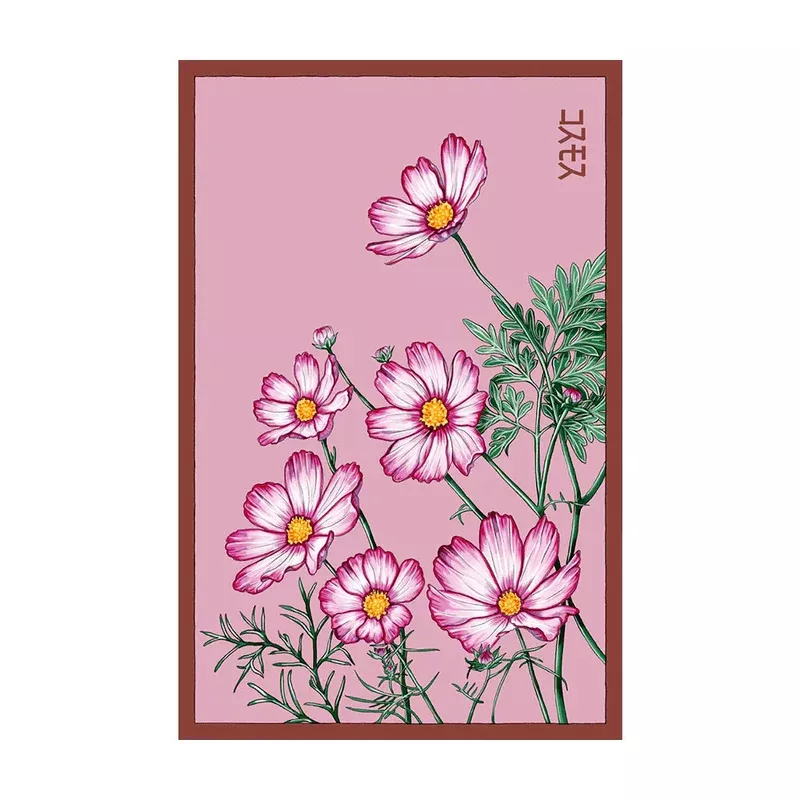 Cosmos Flowers – Seeds