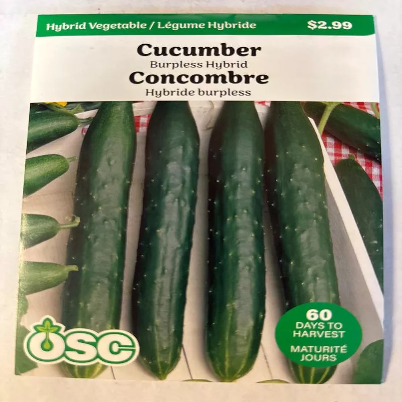cucumber-seed-packets-burpless-hybrid Cucumber Seed Packets – Burpless Hybrid
