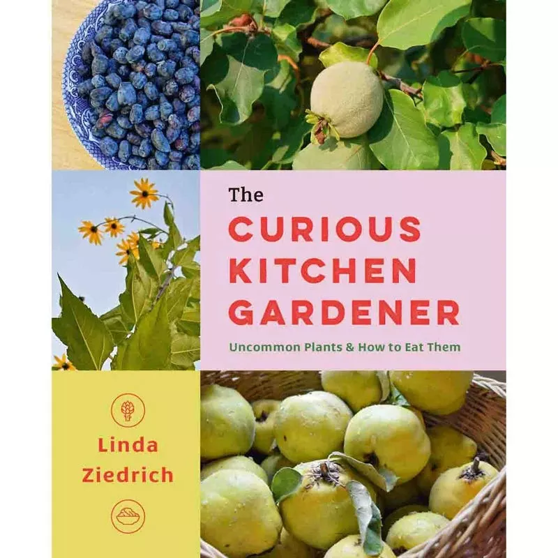 curious-kitchen-gardener The Curious Kitchen Gardener