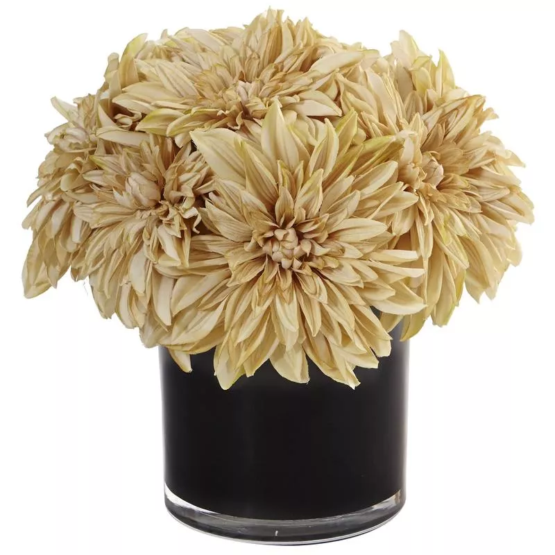 dahlia-mum-in-black-glossy-cylinder Dahlia Mum in Black Glossy Cylinder