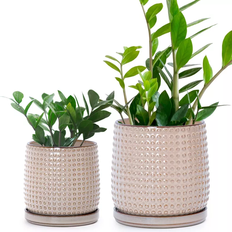 design-stoneware-pots-beaded-4-6-inch-light-brown Design Stoneware Pots, Beaded,4+6 Inch, Light Brown