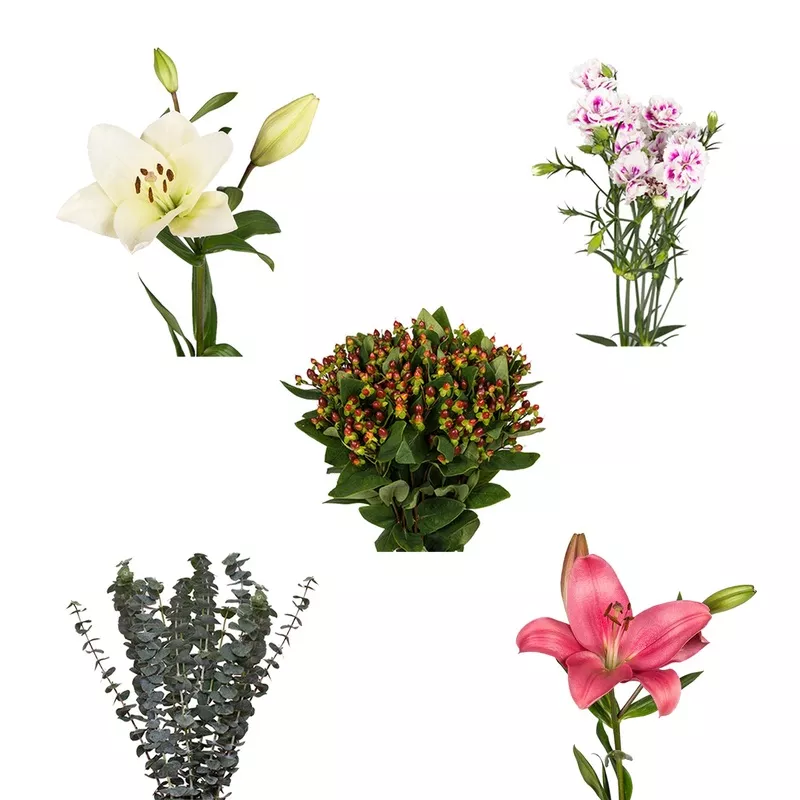 DIY Design Collection – Glee – 90 Stems