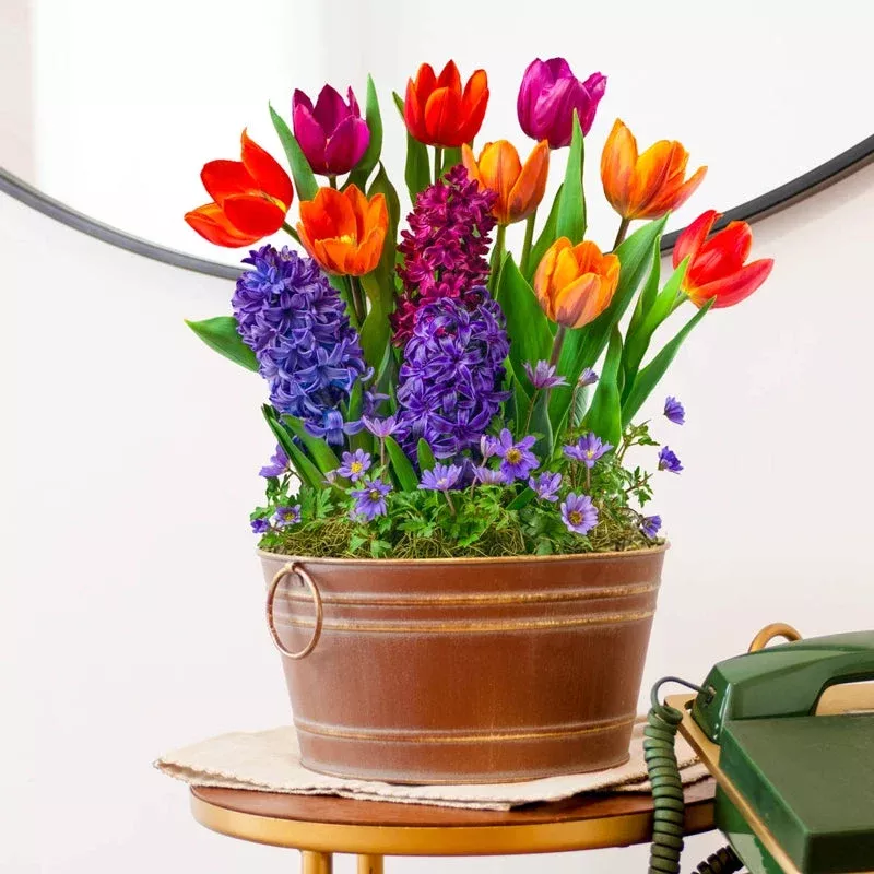 festival-flowers-fragrant-bulb-garden Festival of Flowers Fragrant Bulb Garden