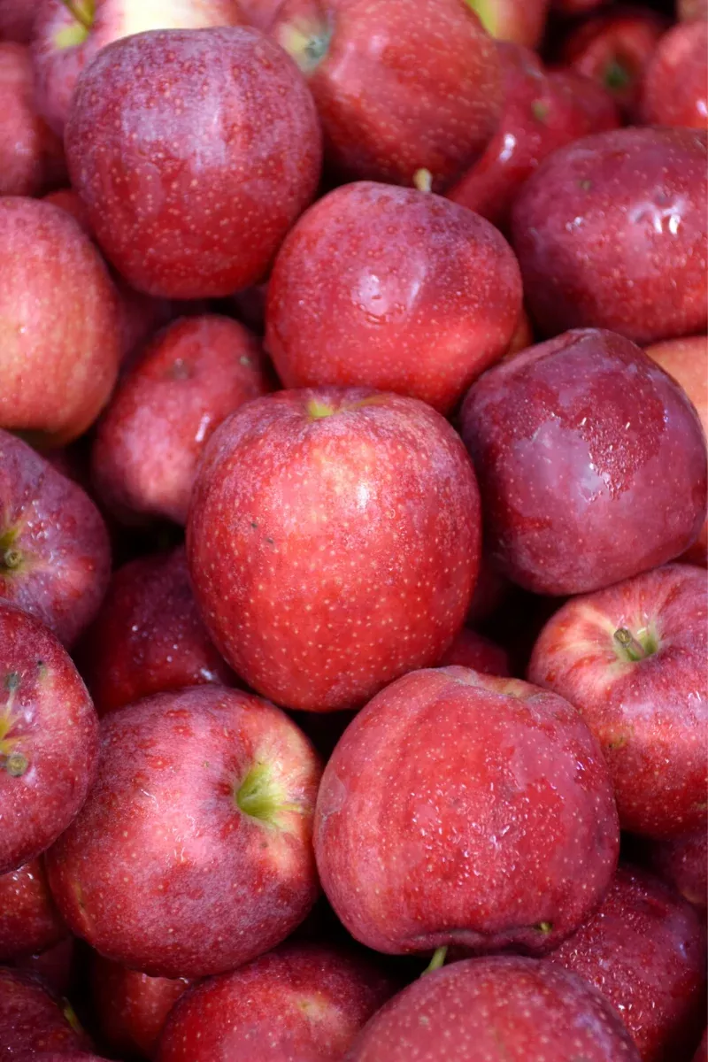 fruit-apple-gala Fruit, Apple Gala