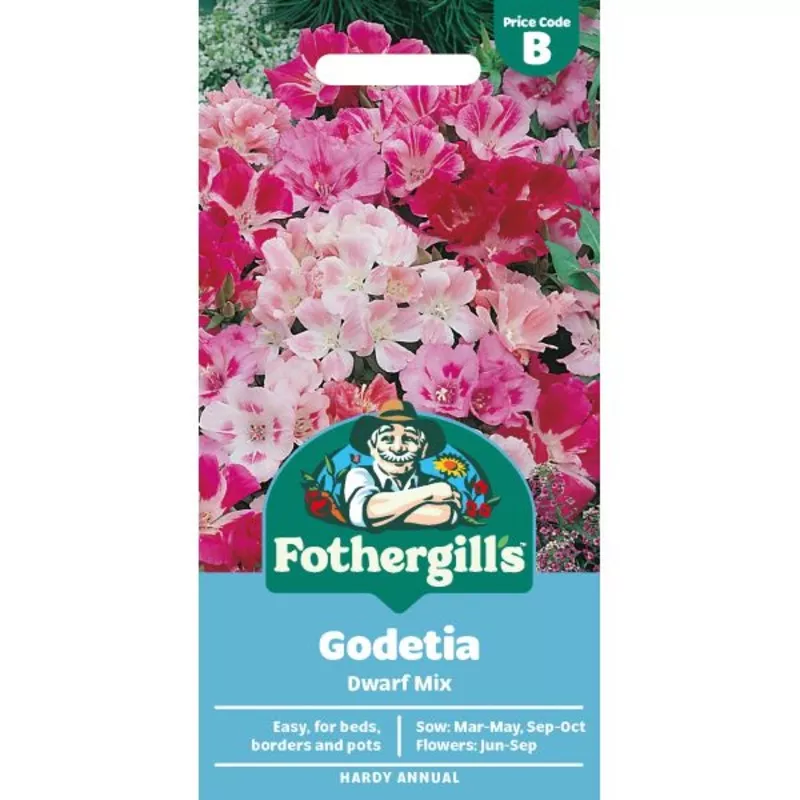 godetia-dwarf-mix-seeds Godetia Dwarf Mix Seeds