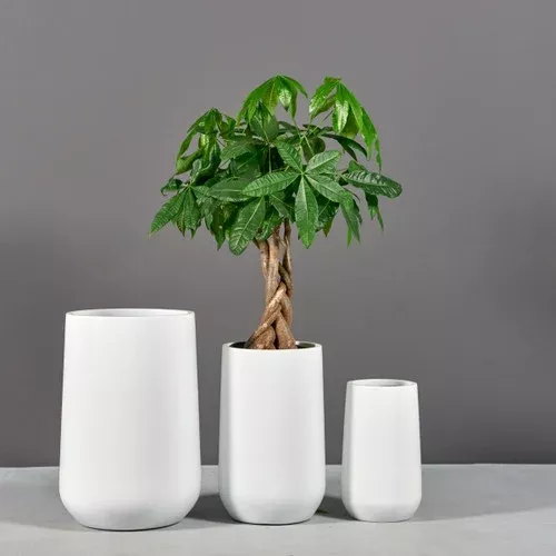 hayden-tapered-round-planters Hayden Tapered Round Planters