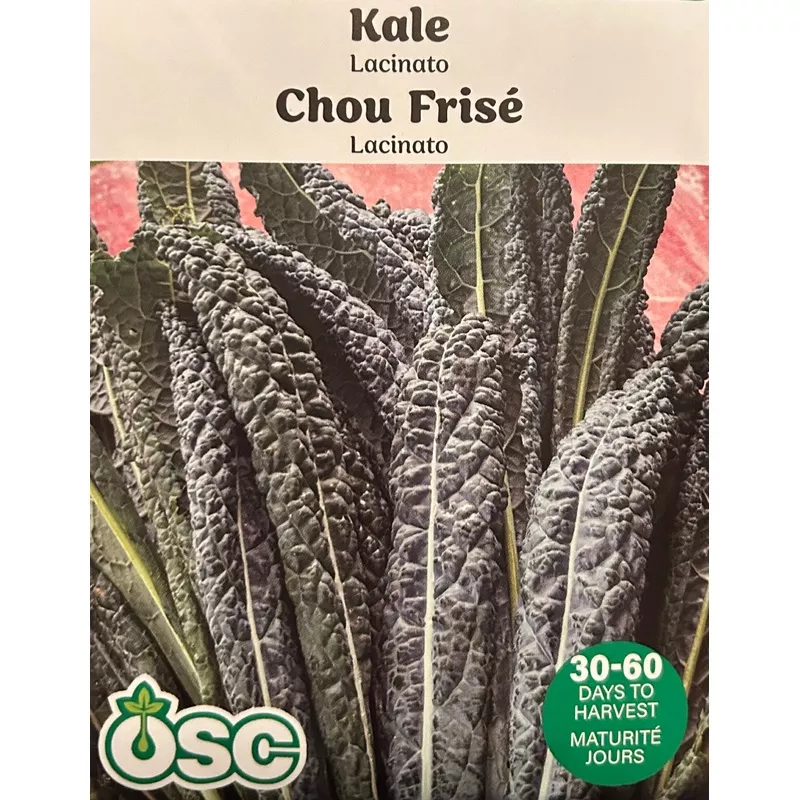 kale-lacinato-seeds Kale – Lacinato (Seeds)