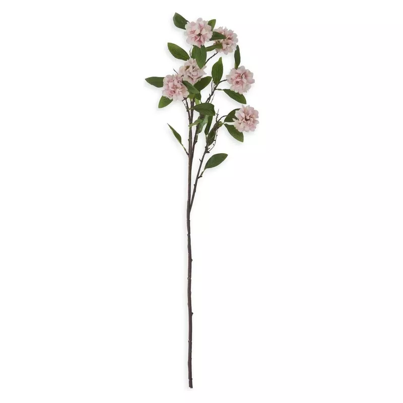 Kerria Stem Pink