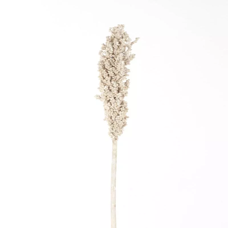milo-berries-white-wash-pick Milo Berries White Wash Pick