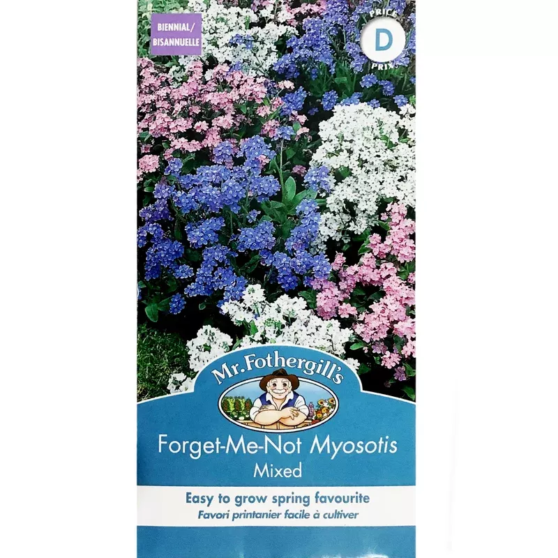 Myosotis – Forget Me Not Mr Fothergill’s