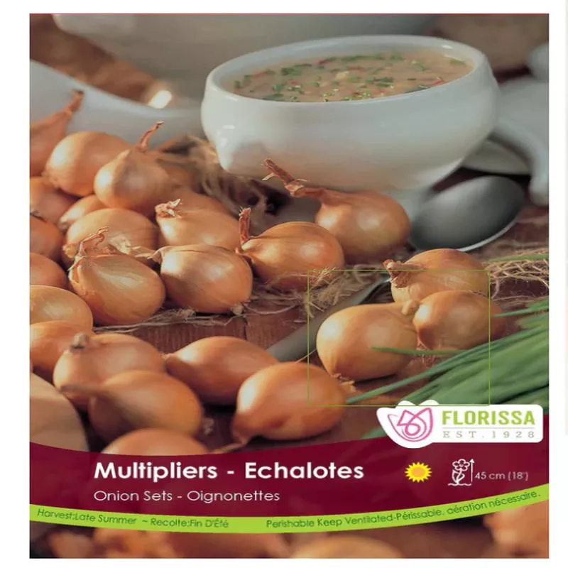 Onion – Multipliers