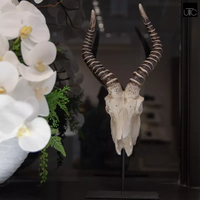 ormere-polyresin-goat-head-decor Ormere Polyresin Goat Head Decor