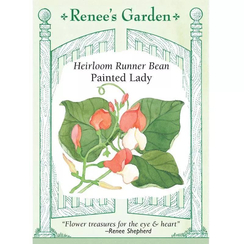 Painted Lady Flower Runner Bean Seeds