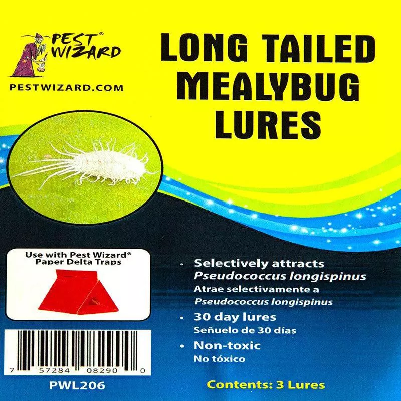pest-wizard-long-tailed-mealybug-lure-3-pack Pest Wizard Long Tailed Mealybug Lure 3-Pack