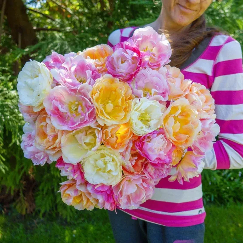 Pink Moscato Tulip Blend