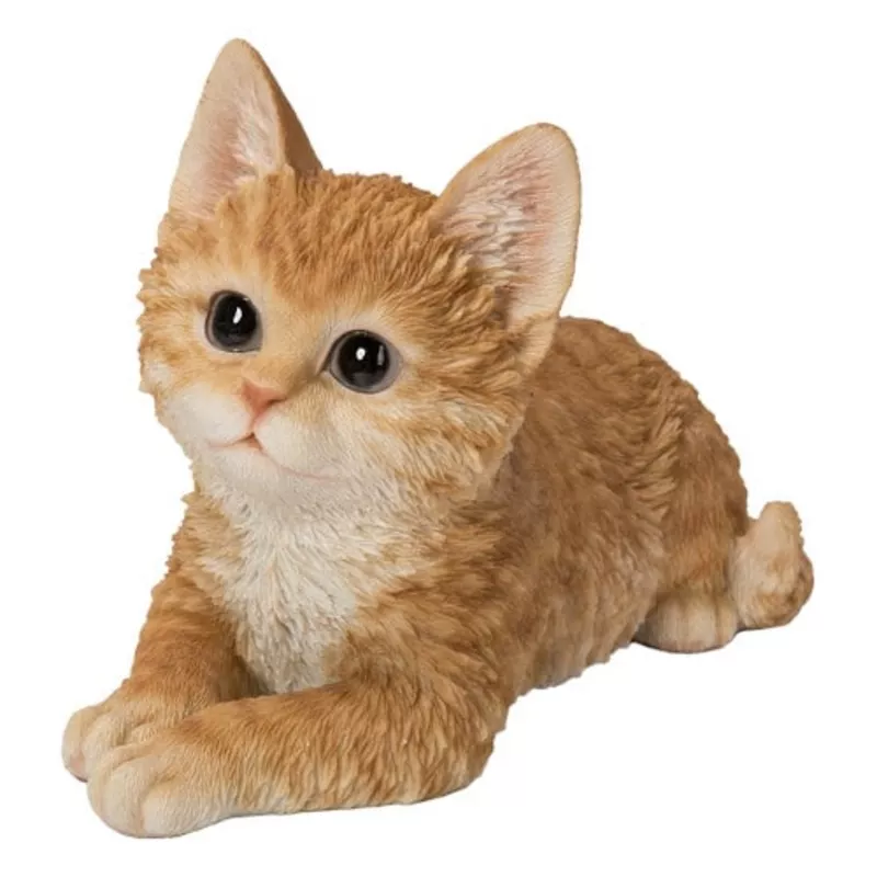 pp-laying-ginger-kitten PP Laying Ginger Kitten