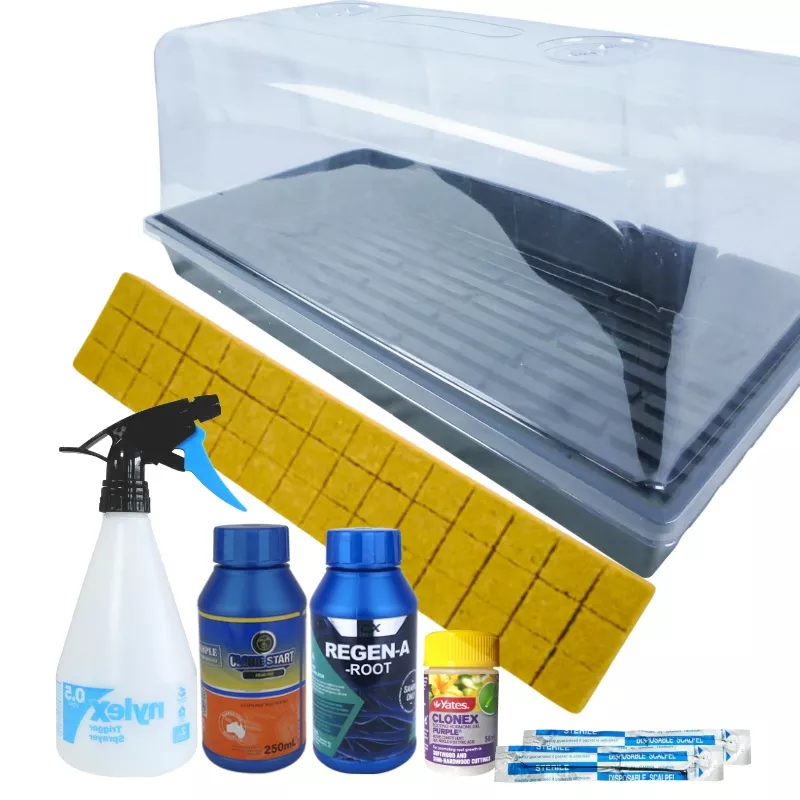 propagation-starter-kit Propagation Starter Kit