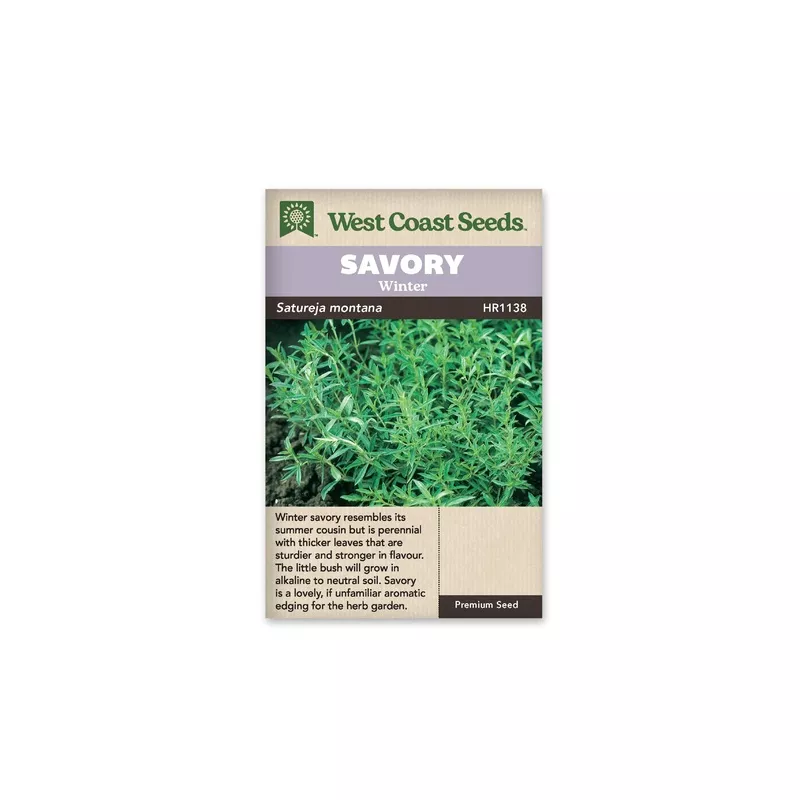 savory-winter-savory-seeds Savory – Winter Savory (Seeds)