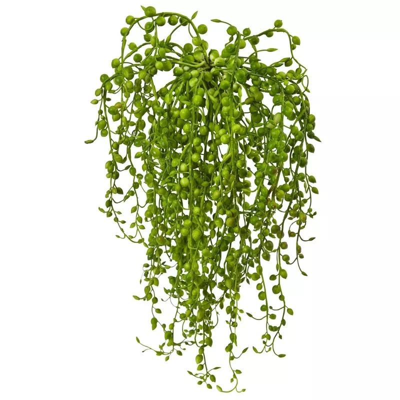 senecio-artificial-succulent-set-3 Senecio Artificial Succulent (Set of 3)