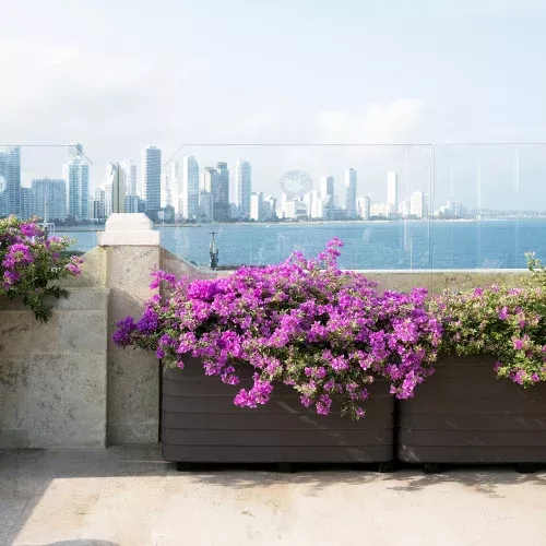 slat-self-watering-rectangular-planter Slat Self-Watering Rectangular Planter