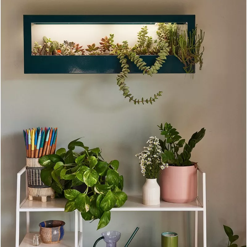 Smart Landscape Growframe Matte Black
