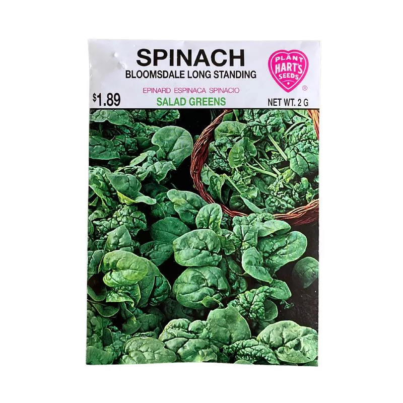 spinach-bloomsdale Spinach Bloomsdale
