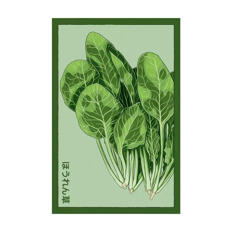 Spinach – Seeds