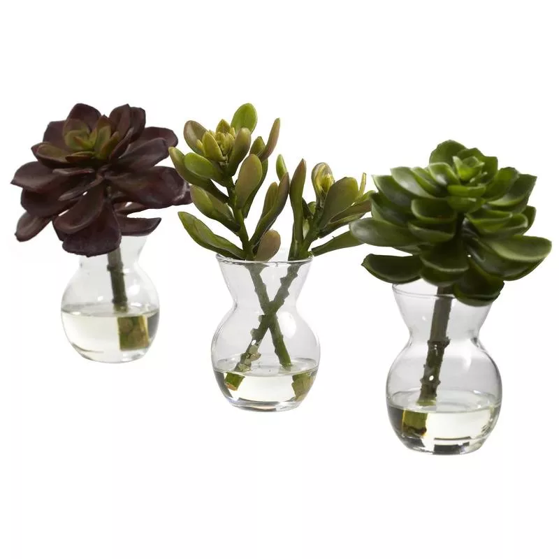succulent-arrangements-set-3 Succulent Arrangements (Set of 3)
