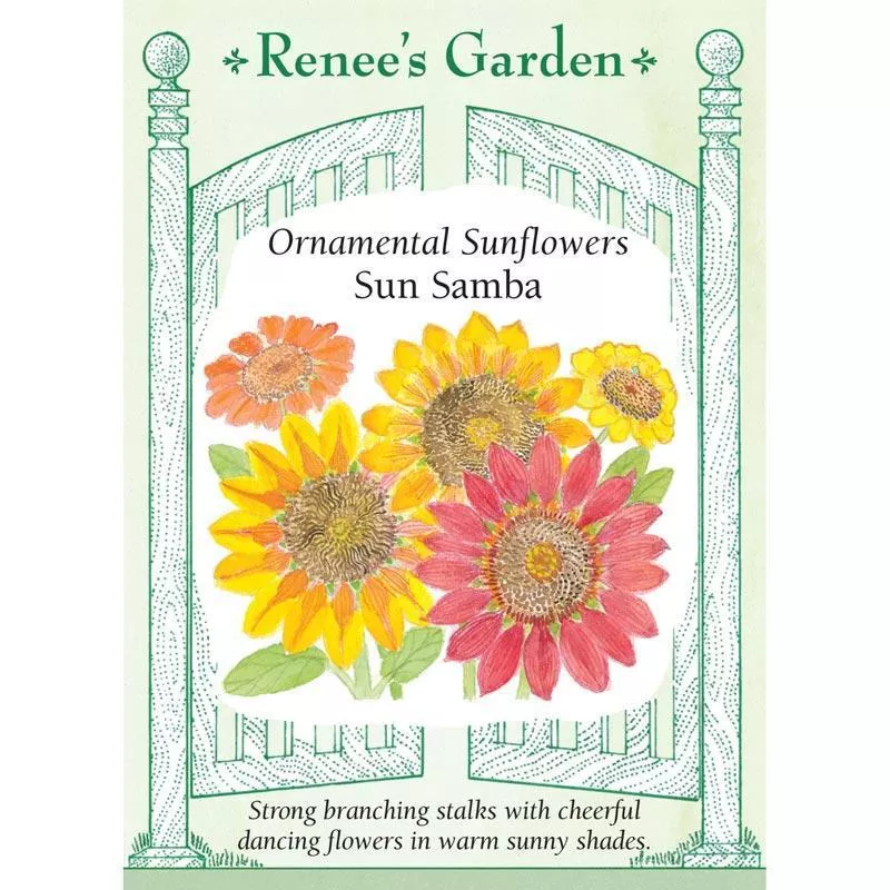 sun-samba-ornamental-sunflower-flower-seeds Sun Samba Ornamental Sunflower Flower Seeds