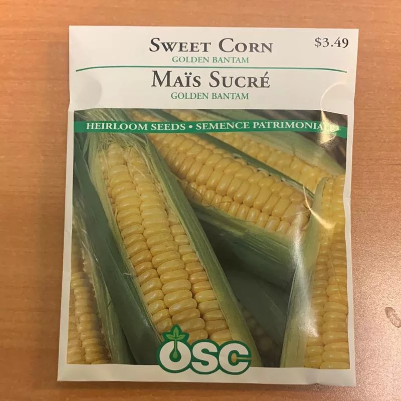 sweet-corn-seed-packets-golden-bantam Sweet Corn Seed Packets – Golden Bantam