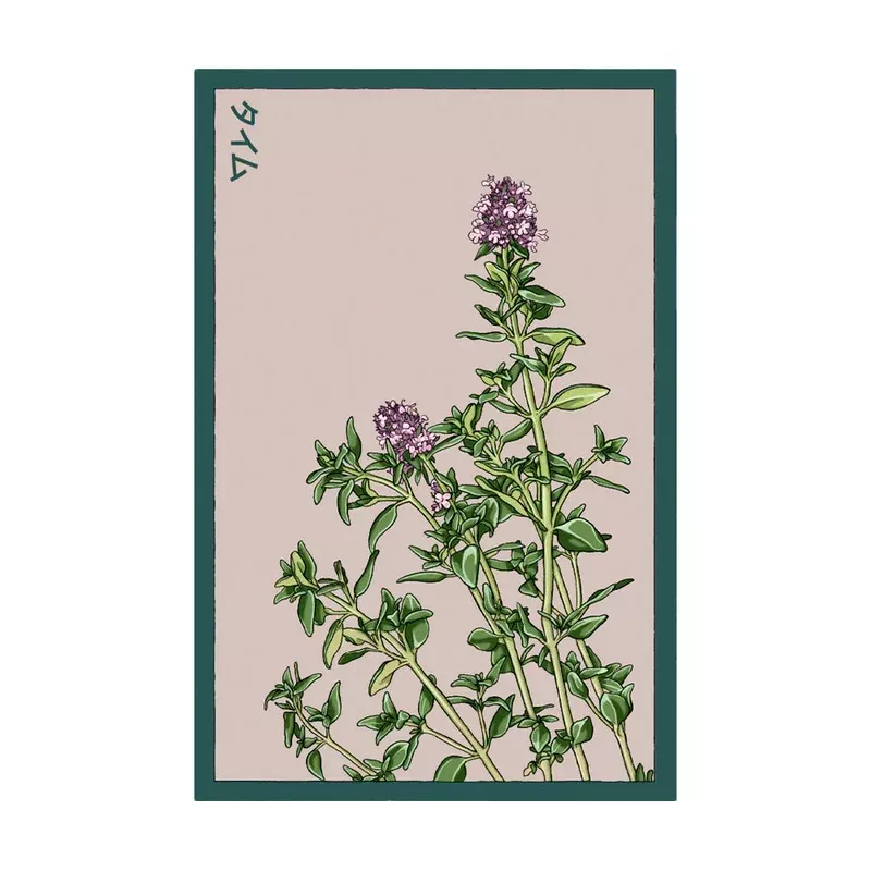 thyme-seeds Thyme – Seeds