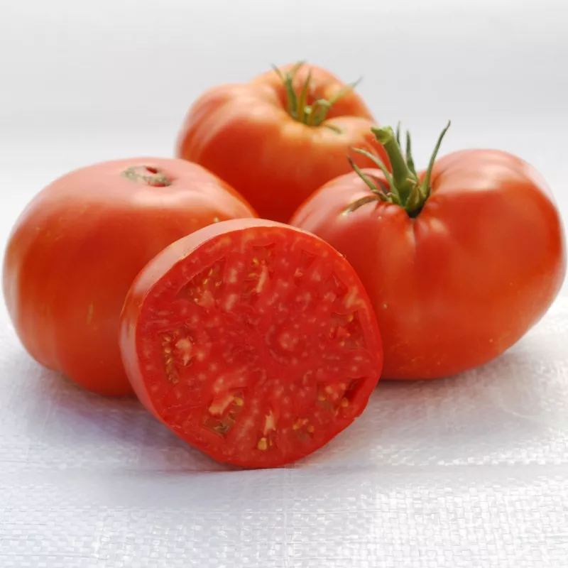 Tomate Ancestrale ‘Brandywine Red’