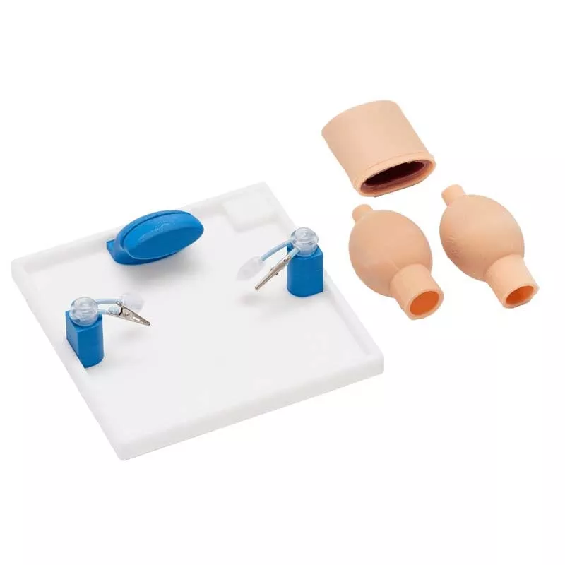 training-module-gynecology-full-set Training Module – Gynecology Full Set